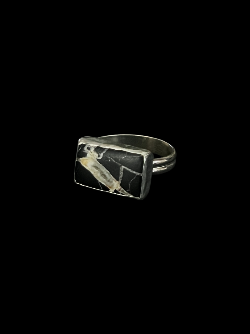 White Buffalo Turquoise Rectangle Ring